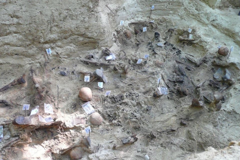 Zdjęcie z prac archeologicznych