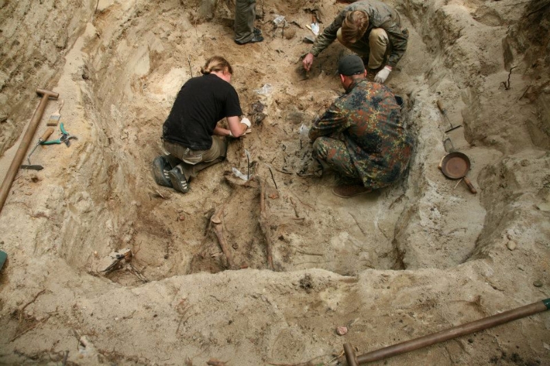 Zdjęcie z prac archeologicznych