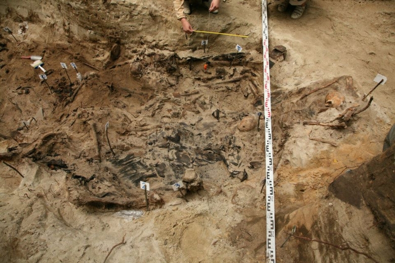 Zdjęcie z prac archeologicznych
