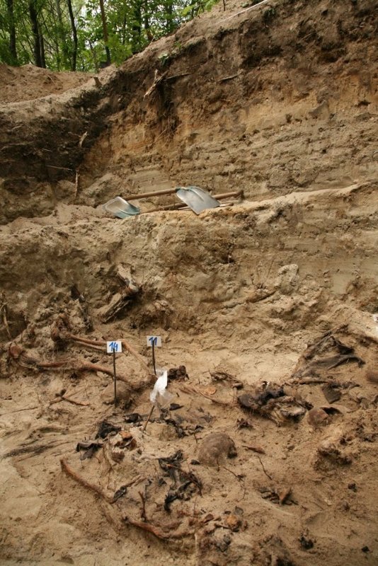 Zdjęcie z prac archeologicznych