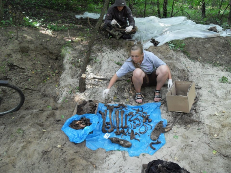 Zdjęcie z prac archeologicznych