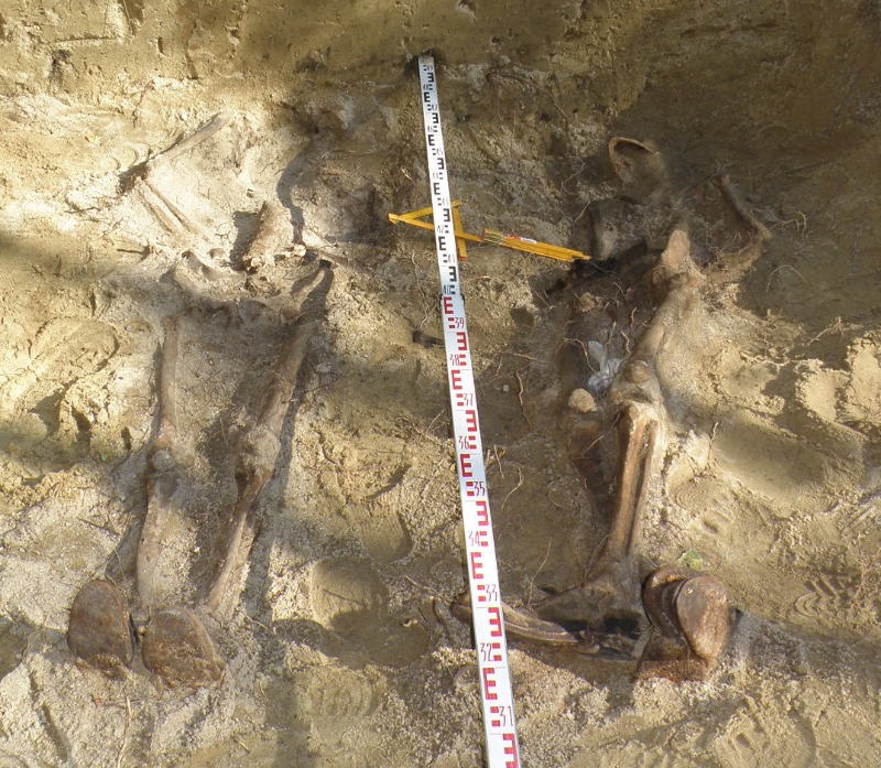 Zdjęcie z prac archeologicznych