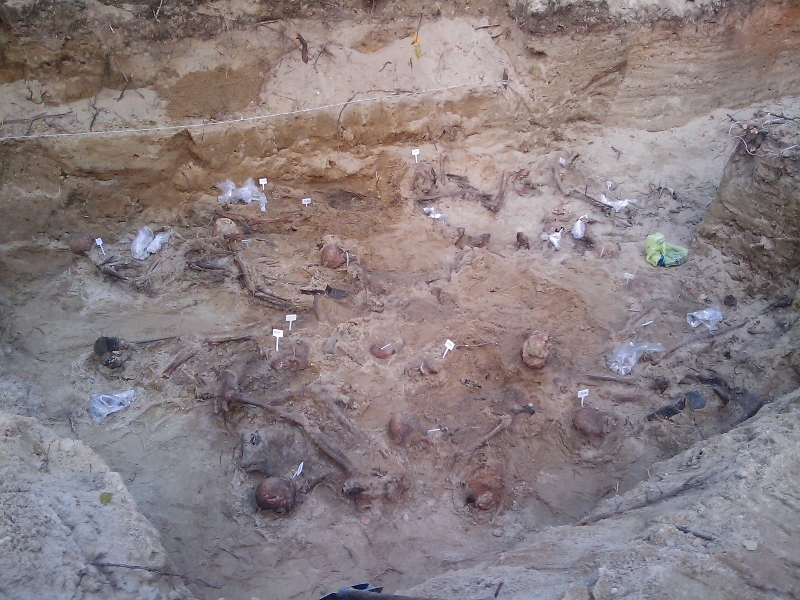 Zdjęcie z prac archeologicznych