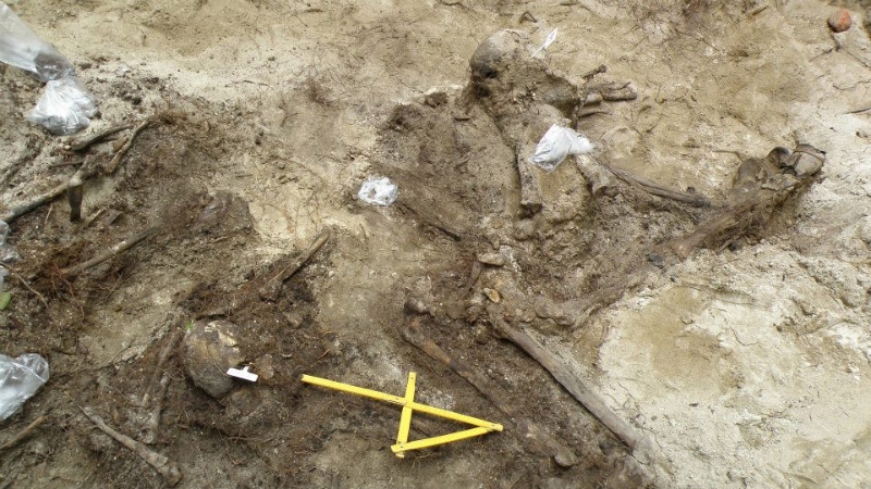 Zdjęcie z prac archeologicznych