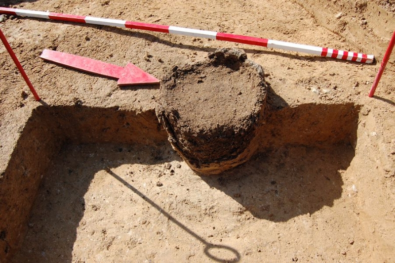 Zdjęcie z prac archeologicznych