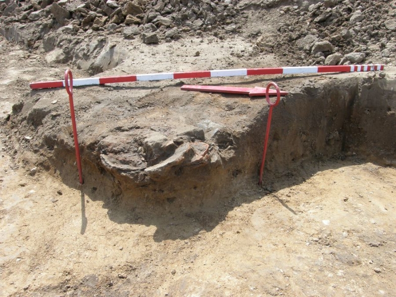 Zdjęcie z prac archeologicznych
