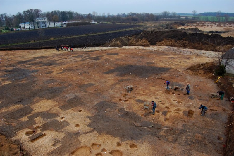 Zdjęcie z prac archeologicznych
