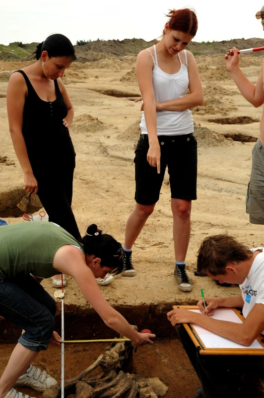 Zdjęcie z prac archeologicznych