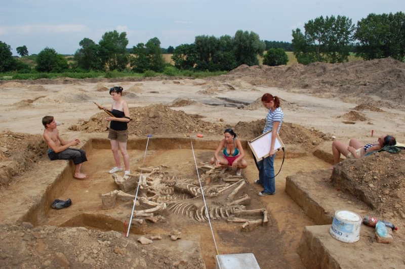 Zdjęcie z prac archeologicznych