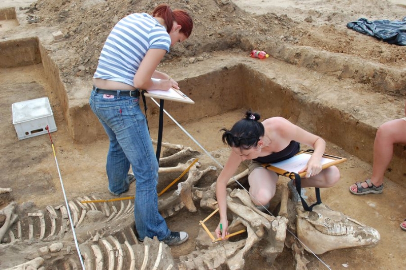 Zdjęcie z prac archeologicznych