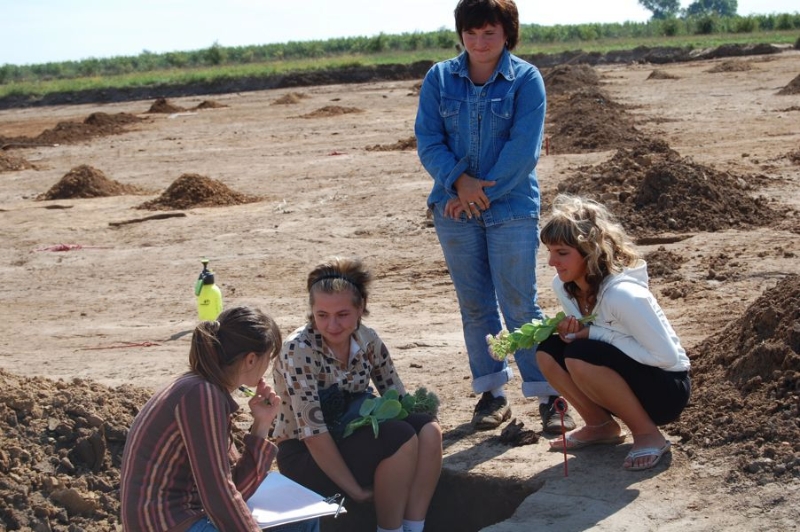 Zdjęcie z prac archeologicznych