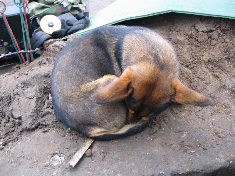 Zdjęcie z prac archeologicznych