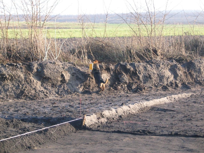 Zdjęcie z prac archeologicznych