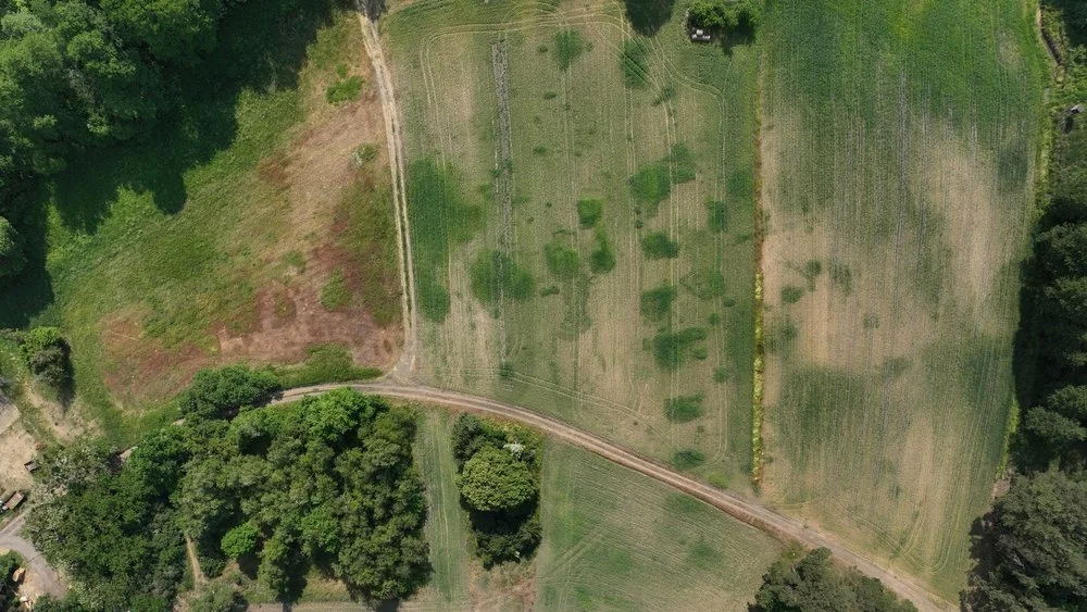 Dzwonowo (fot. M. Krzepkowski)