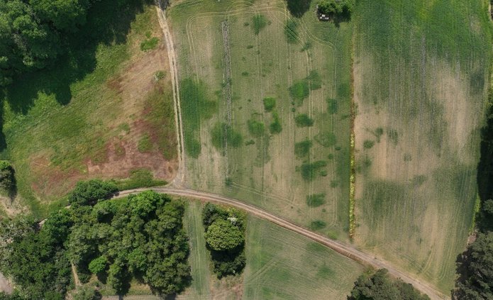 Dzwonowo (fot. M. Krzepkowski)