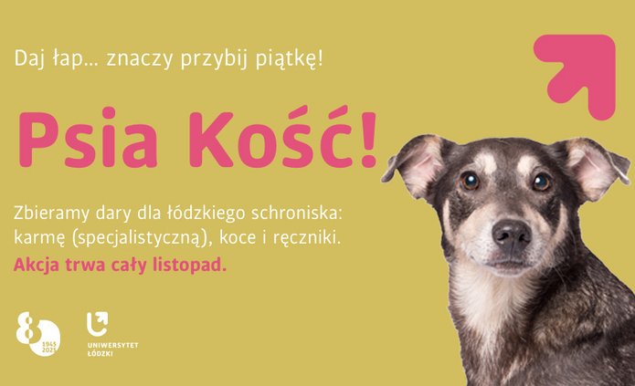 Czarno biały pies na żóltym tle i napis: Psoa kość! Zbieramy dary dla łódzkiego schroniska: karmę (specjalistyczną), koce i ręczniki. Akcja trwa cały listopad.
