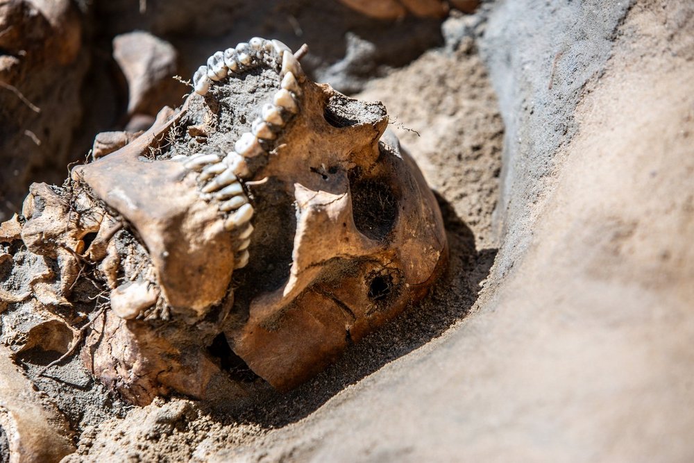 Chojnicka Dolina Śmierci