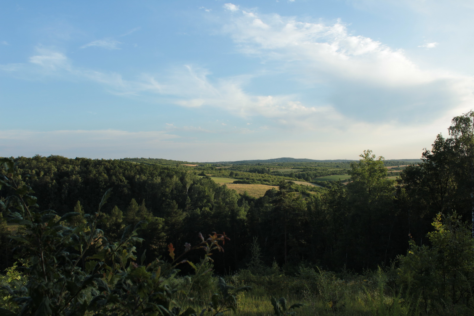 Jura 2023